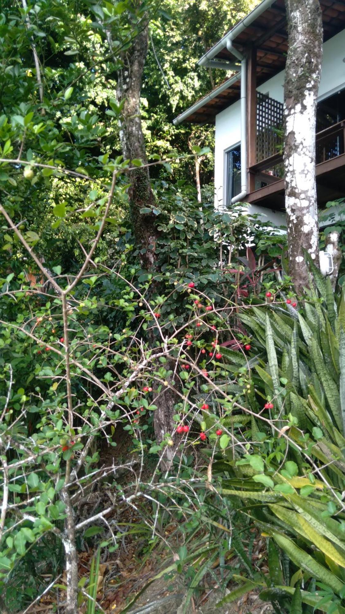 Casa Shuhari Villa Morro de São Paulo Dış mekan fotoğraf