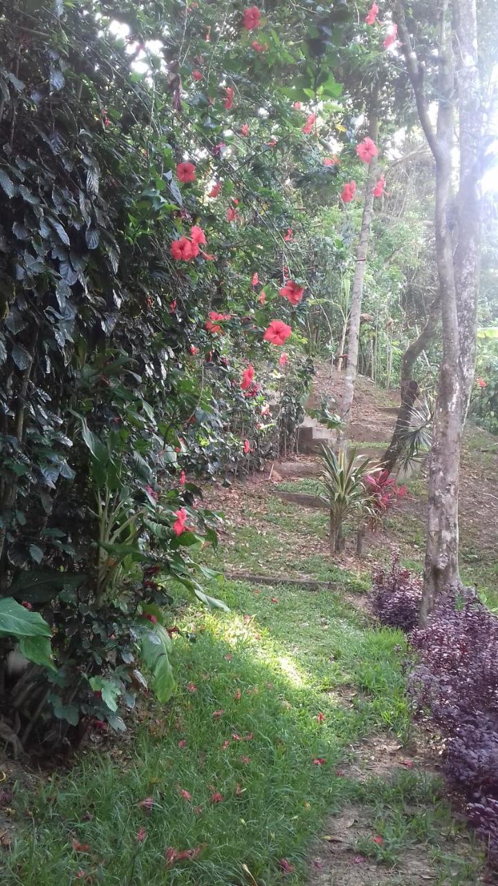 Casa Shuhari Villa Morro de São Paulo Dış mekan fotoğraf